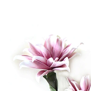 hot sale preserved Real Touch foam flower home decoration foam decorative model flowers