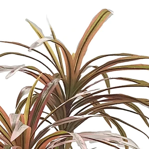 Factory price foliage plants artificial dracaena plant decoration artificial dracaena plant for home