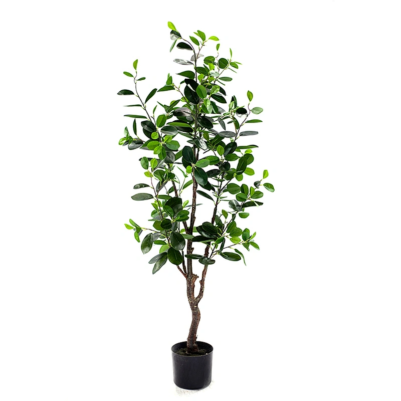 High Quality  Decorative Ornamental Bonsai Plants Of  Ficus Garden Decoration Banyan Tree  Evergreen Foliage Plants