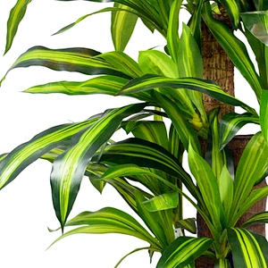 Green Plant Wall Hanging Artificial Dracena Tree Leaves Spotted Dracena Trees For Decoration