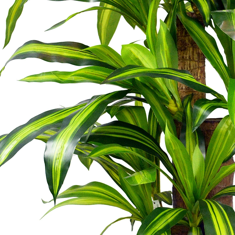 Green Plant Wall Hanging Artificial Dracena Tree Leaves Spotted Dracena Trees For Decoration