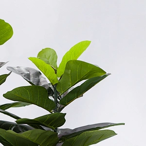 Artificial Foliace Plastic Fabric Faux Little Artificial Fiddle Leaf Fig Tree Ornamental Plants