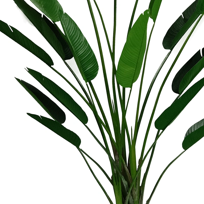 Manufacturer Green Palm Banana Tree Leaves Artificial Spotted Banana Trees For Decoration