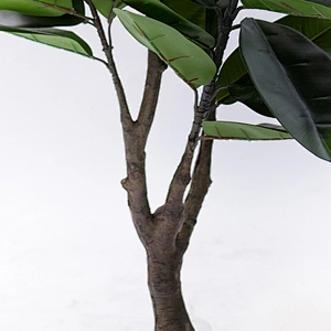 Foliace Plastic Fabric Evergreen Large Rubber Tree Leaves Decorative Rubber Tree Artificial Tree For Weddings