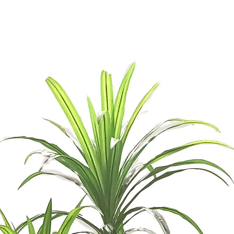 Garden Artificial dracaena Tree decoration comfortable artificial bonsai plant  for home