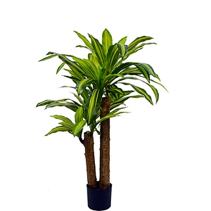 Factory Wholesale Price Vivid Green Corn Starch Plant Structure Decoration Plastic Artificial Dracaena Fragrans