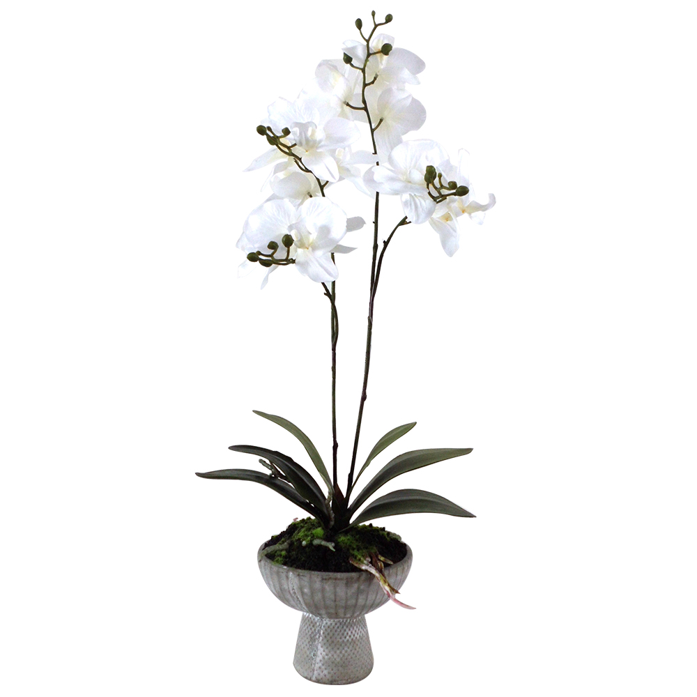Office Wedding Decoration Spring Artificial Orchid Flower Silky Way Real Touch Latex Artificial Orchid Flower For Home