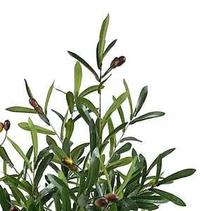 New Design Garden Artificial Oliver Tree Plant Indoor Display Oliver Tree For Decoration