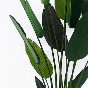 Eco-Friendly Variegata Deliciosa Plants Artificial Banana Trees Artificial Tree Banana Leaf Tree