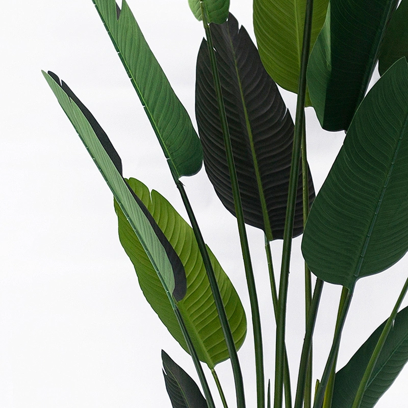 Eco-Friendly Variegata Deliciosa Plants Artificial Banana Trees Artificial Tree Banana Leaf Tree