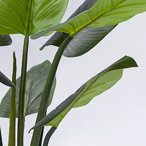 Factory price High quality philodendron plants artificial philodendra plant for sale