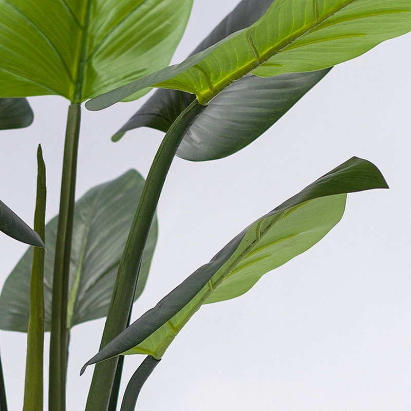 Factory price High quality philodendron plants artificial philodendra plant for sale