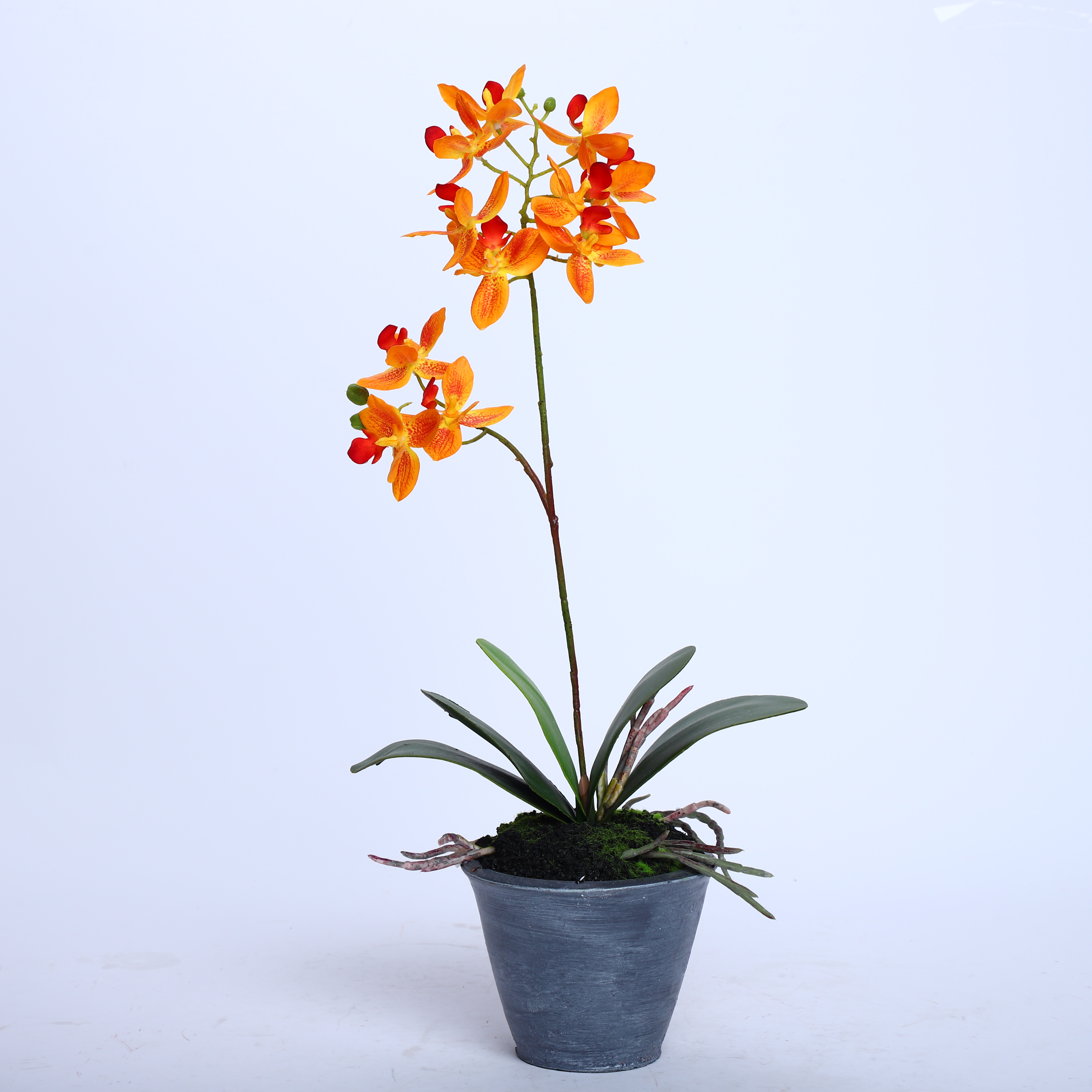 Factory Direct Sale Silk Orchid Assortment Artificial Garden Decor Real Touch Flower Phalaenopsis