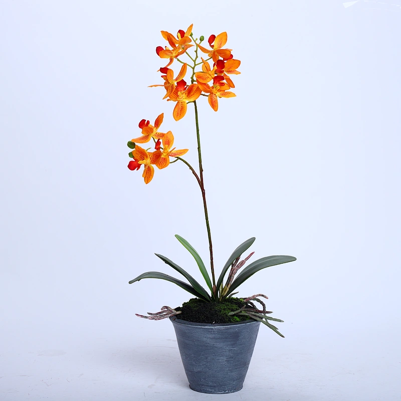Factory Direct Sale Silk Orchid Assortment Artificial Garden Decor Real Touch Flower Phalaenopsis