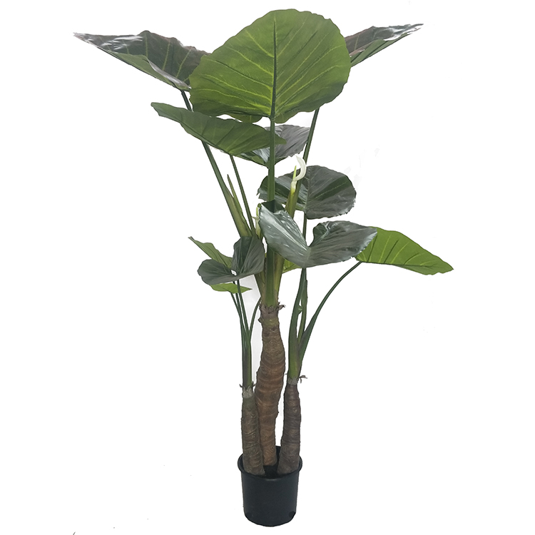 QingDao Indoor Cheap Artificial Taro Plants And Trees Evergreen Taro For Wholesale