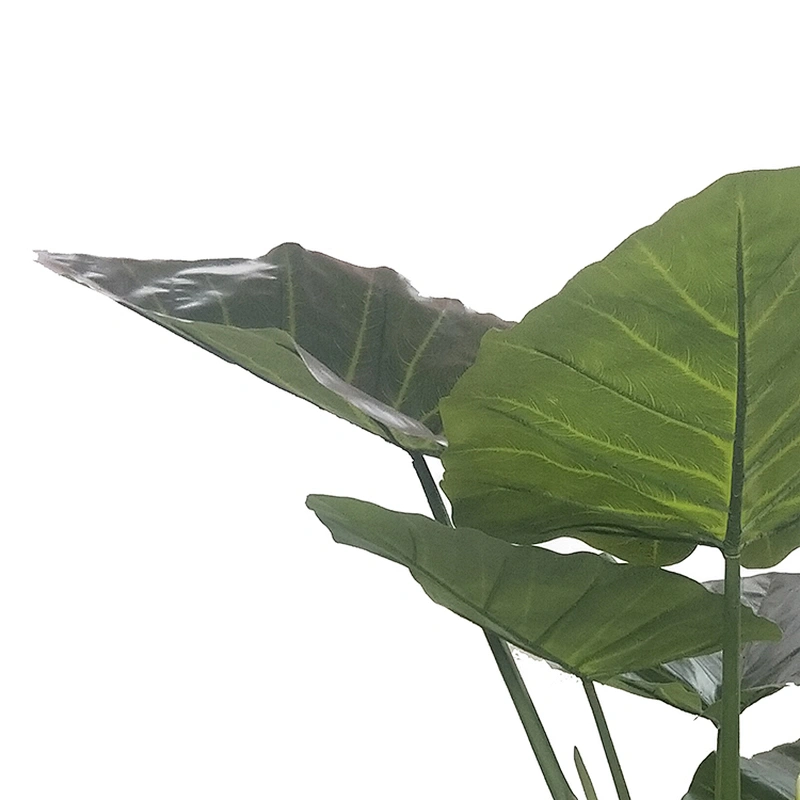 QingDao Indoor Cheap Artificial Taro Plants And Trees Evergreen Taro For Wholesale
