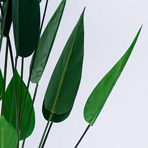 Ornamental Factory Wholesale Price Hot Sale Artificial Strelitzia Evergreen Beautiful Strelitzia Plant