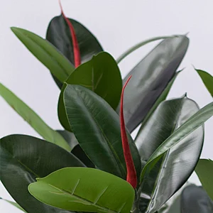 New Design Garden indoor display trees rubber tree products real touch artificial rubber plant