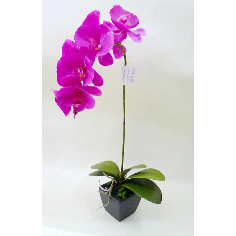 Hot sale home decoration real touch orchid flower artificial orchid plants