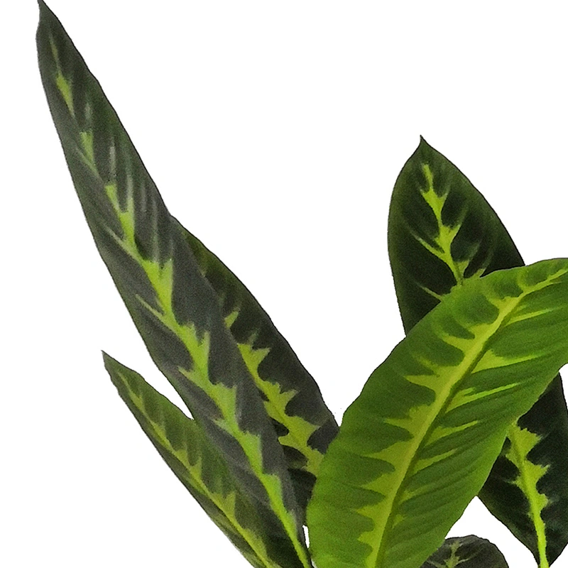 Factory price excellent quality artificial plant green artificial plant for home