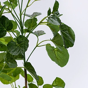 Factory Wholesale Price home green artificial plants artificial plants for living decoration