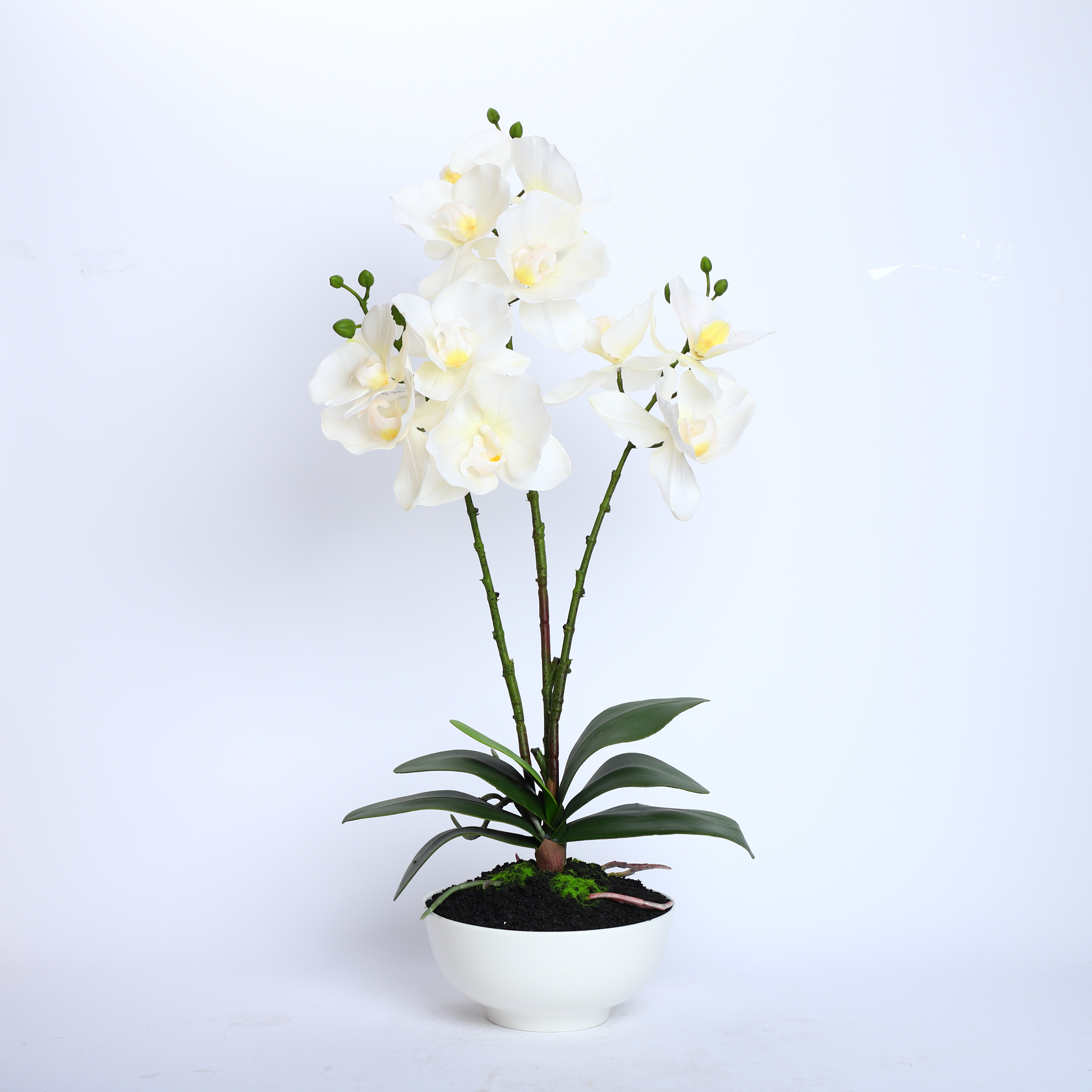 Home Wedding Decor White Artificial Flowers Cymbidium Orchid Faux Water Butterfly Orchid