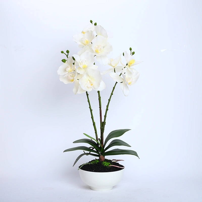 Home Wedding Decor White Artificial Flowers Cymbidium Orchid Faux Water Butterfly Orchid