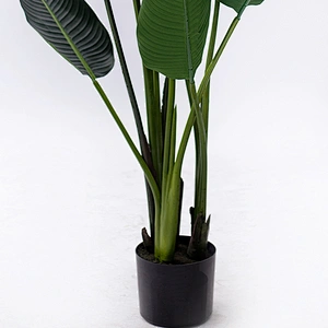 Artificial Tree Highly New Style Banana Tree Varigata Ornamental Banana Tree Plant