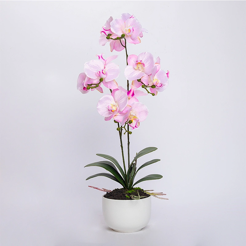 Wedding Party Home Decoration Phalaenopsis Artificial Real Touch Flower Butterfly Orchid