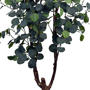 indoor eucalyptus display trees artificial tree branches and leaves eucalyptus greenery artificial eucalyptus on sale