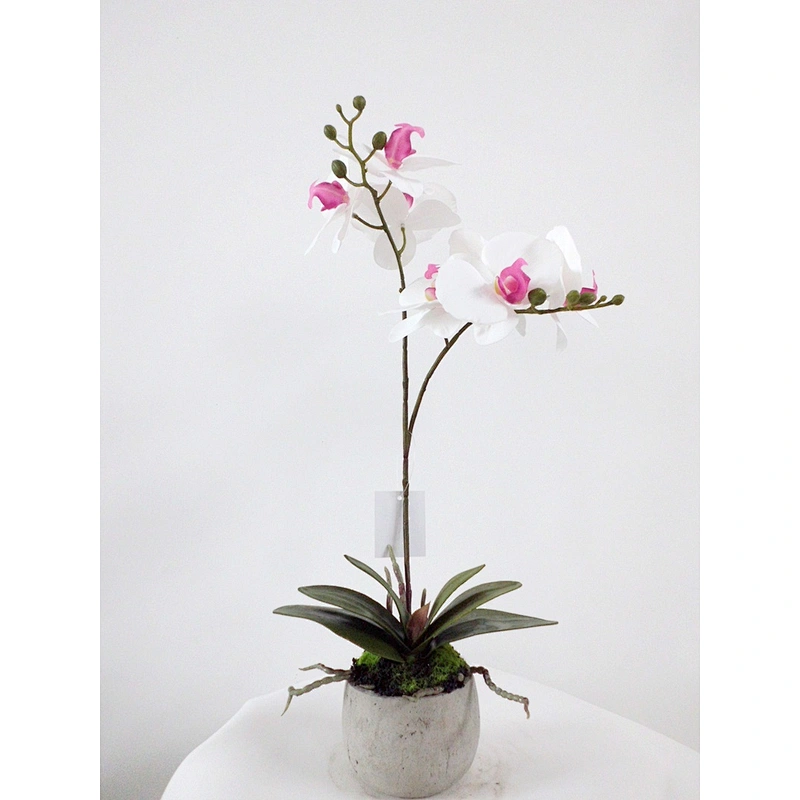 wholesale home indoor decoration wedding artificial orchid flowers 3D printing orchid decoration artificial orchid plant