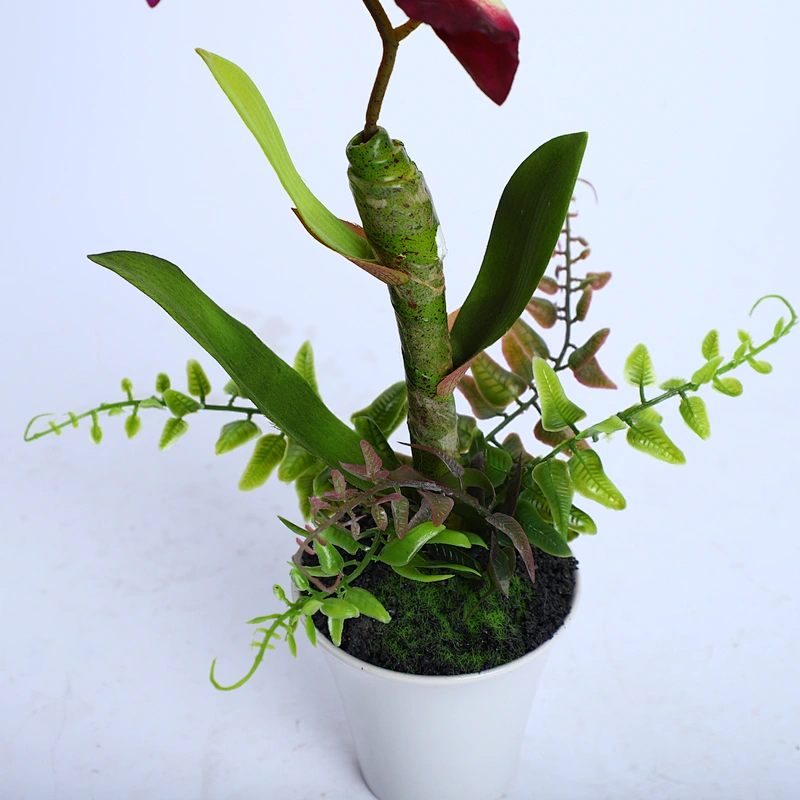 Home Wedding Decor Artificial Flowers Faux Water Cymbidium Orchid Butterfly Orchid