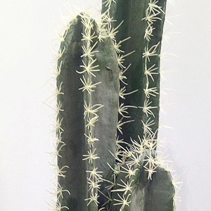 Factory Direct Sales Foliage Artificial Greenery Picks Real Touch Greenery Artificial Plants