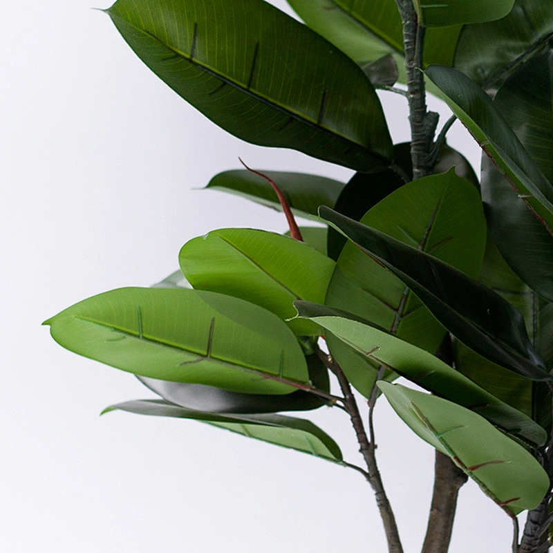 Foliace Plastic Fabric Evergreen Large Rubber Tree Leaves Decorative Rubber Tree Artificial Tree For Weddings