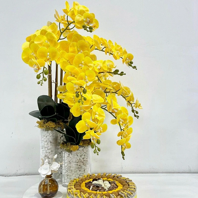 High quality  real  touch feel colorful artificial orchid flower plastic/ceramic pots