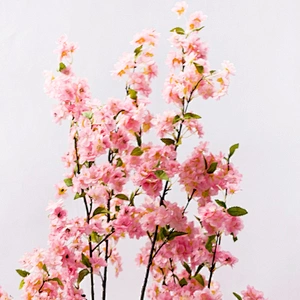 Natural Decorative Bonsai Cherry Blossom Tree Quickly Delivery Wedding Pink Blossom Tree
