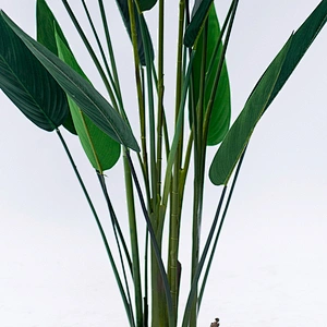 New style Natural Touch Artificial Paradise Bird Flower Tree Evergreen Paradise Bird Plants With Pot For Home Decoration