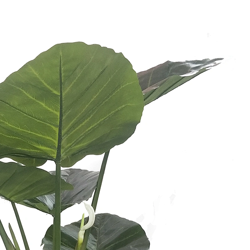 QingDao Indoor Cheap Artificial Taro Plants And Trees Evergreen Taro For Wholesale