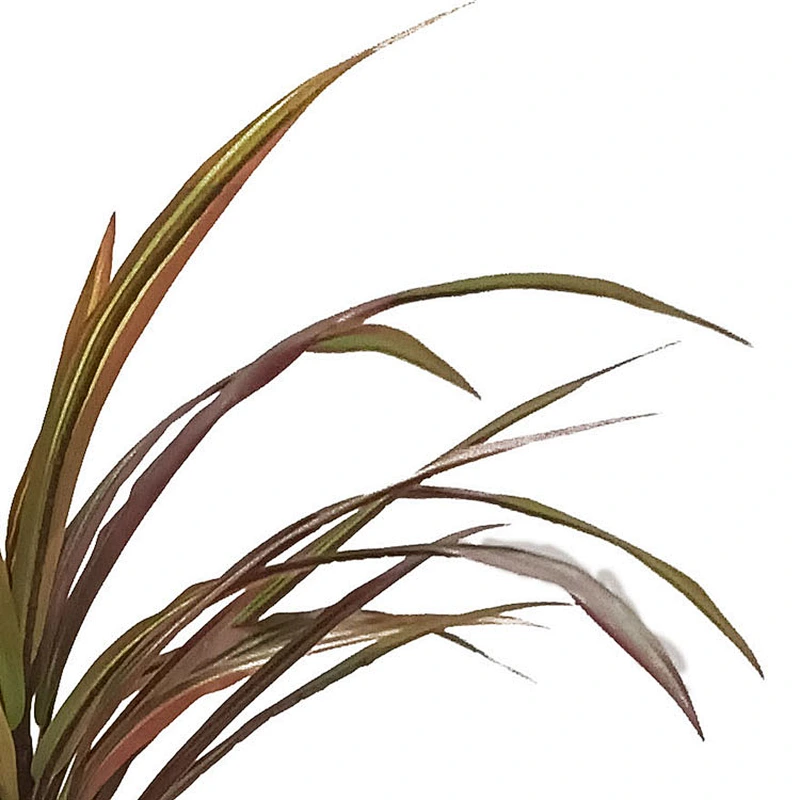 Tropical Plant Decoration Artificial Dracaena Tree Veriegated Dracaena Marginata Plant