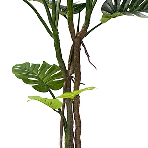 Free Samples Green Adansonii Monstera Popular Vivid Customized Monstera Plant Leaf