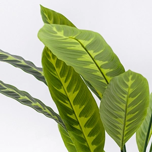 Most Popular real touch artificial greenery tree make artificial bonsai tree on sale