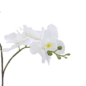 Office Wedding Decoration Orchid Flower Wholesale Spring Real Touch Iatex Artificial Orchid Flower For Home