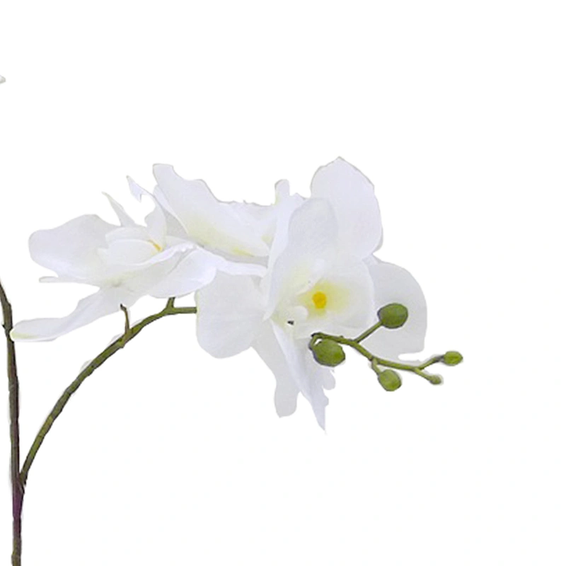 Office Wedding Decoration Orchid Flower Wholesale Spring Real Touch Iatex Artificial Orchid Flower For Home