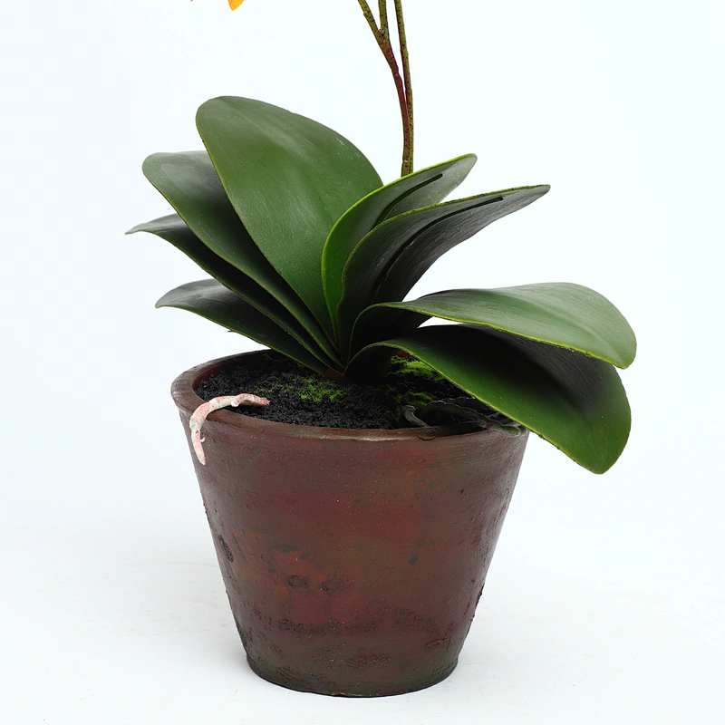 High Quality Real Touch  Artificial Flower Faux Water Cymbidium Butterfly Orchid For Home Decoration