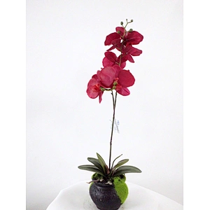 High Quality Artificial Latex Flowers artificial Orchid flower Artificial Real Touch Orchid plant