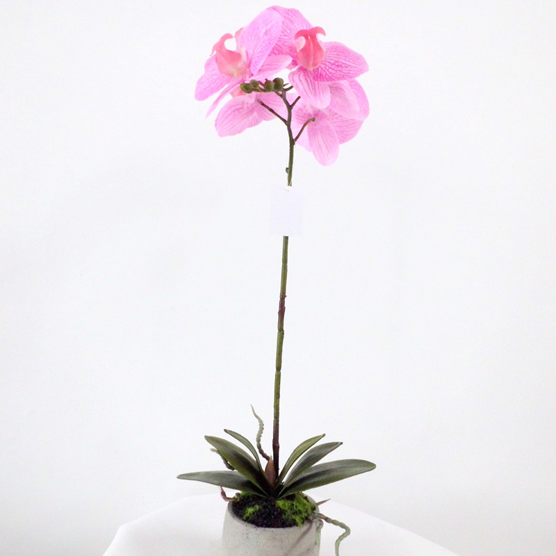 Hot sale Artificial Real Touch Orchid Flower/Plant With Pot For Home/Garden Showroom Shop Decoration