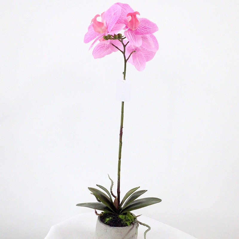 Hot sale Artificial Real Touch Orchid Flower/Plant With Pot For Home/Garden Showroom Shop Decoration
