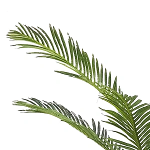 Wedding Artificial Foliace Plastic Plants Areca Palm Tree For Indoor Decoration, Artificial Areca Palm Trees Plant