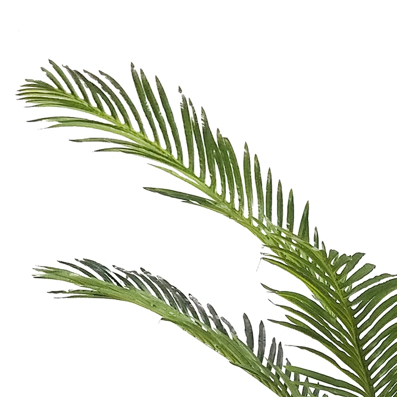 Wedding Artificial Foliace Plastic Plants Areca Palm Tree For Indoor Decoration, Artificial Areca Palm Trees Plant