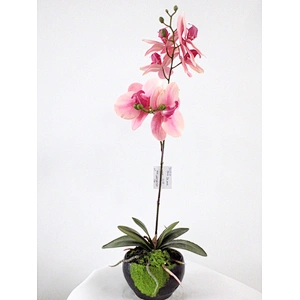 wholesale home indoor decoration wedding artificial orchid flowers 3D printing orchid decoration artificial orchid plant